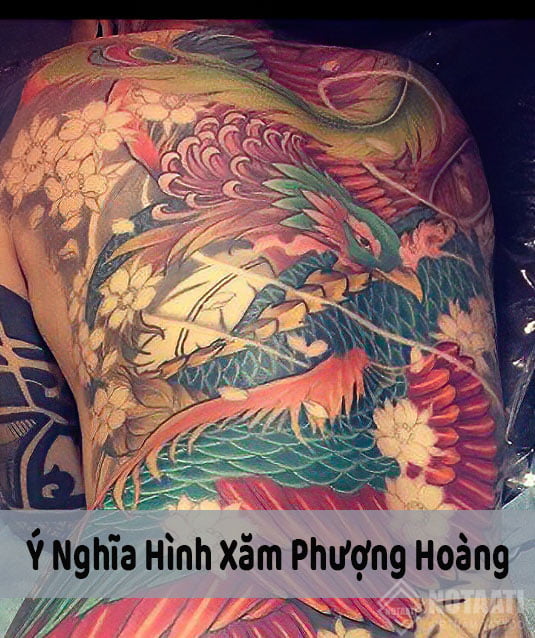 Ý NGHĨA HÌNH XĂM PHƯỢNG HOÀNG VÀ TỔNG HỢP NHỮNG MẪU HÌNH XĂM PHƯỢNG HOÀNG ĐẸP 2023
